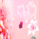 Футаж Лилия и бабочка на розовом фоне Красивый фон для монтажа